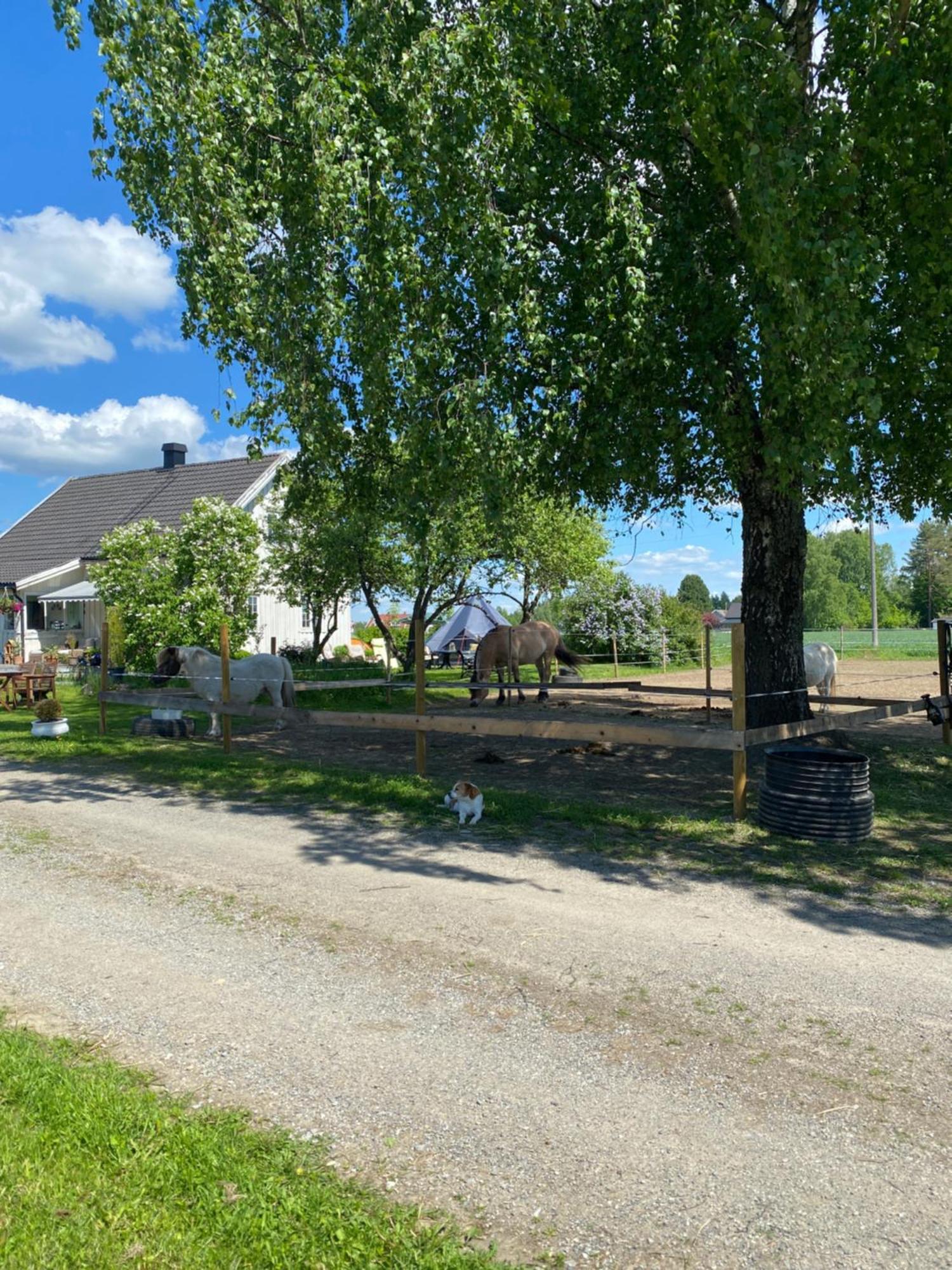 Garder Sundby Fjordhestgardヴィラ エクステリア 写真